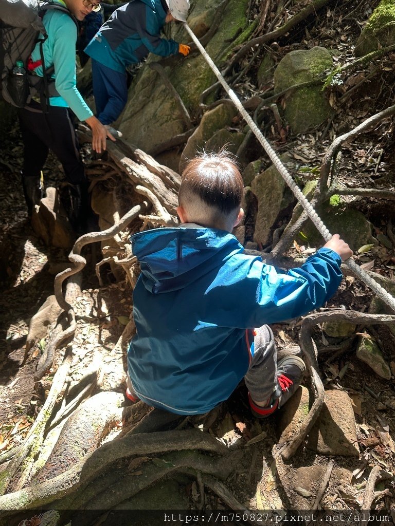 【親子登山】2023-12-09鹿場上加里山