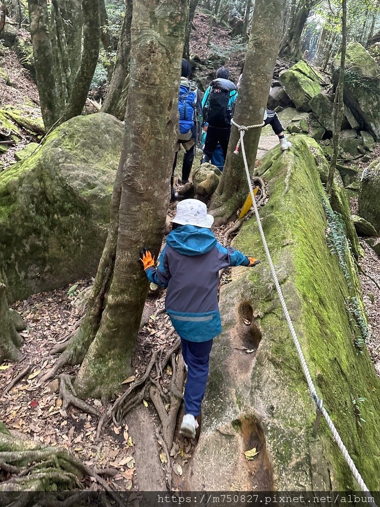 【親子登山】2023-12-09鹿場上加里山