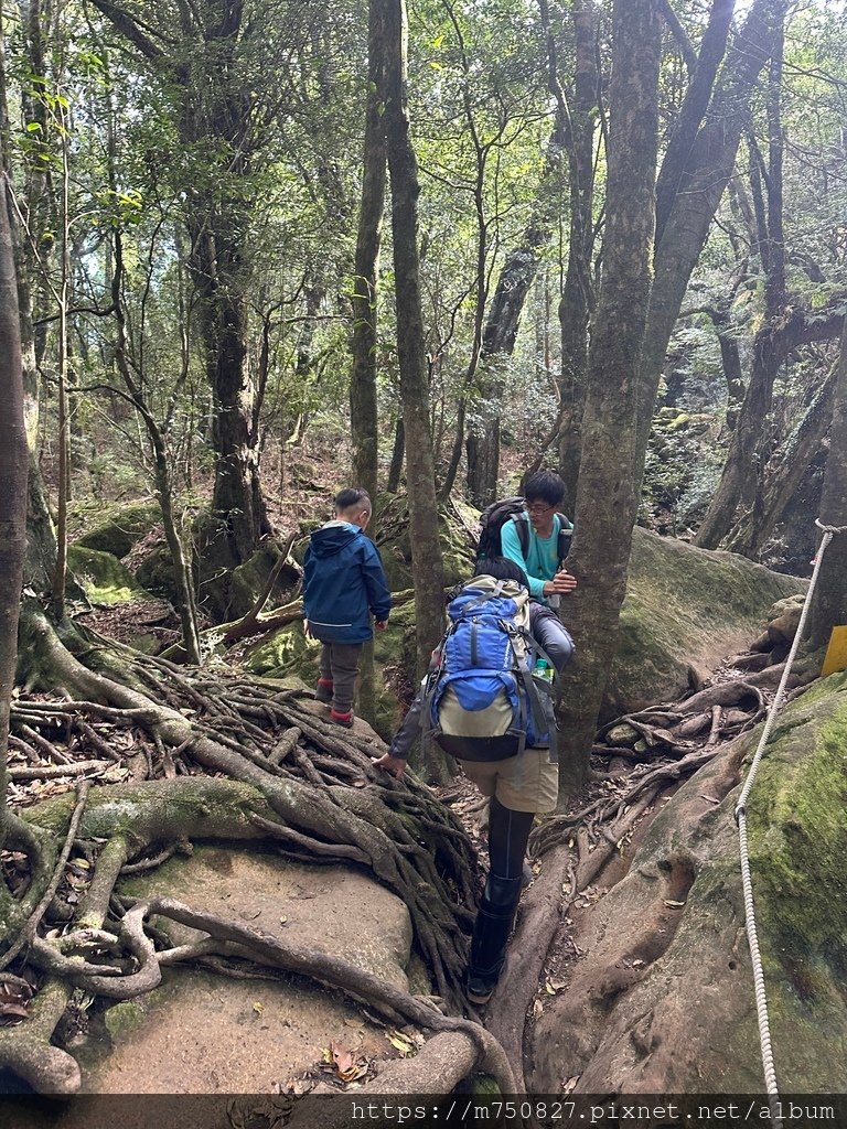 【親子登山】2023-12-09鹿場上加里山