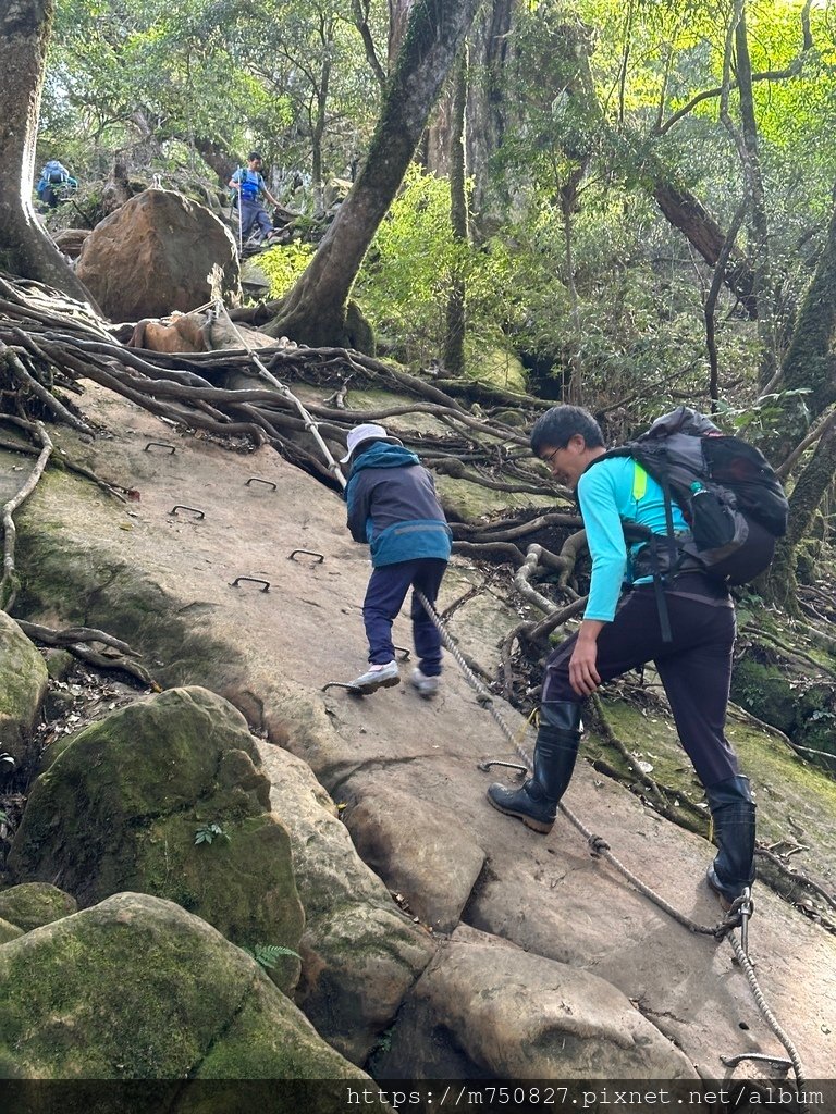 【親子登山】2023-12-09鹿場上加里山