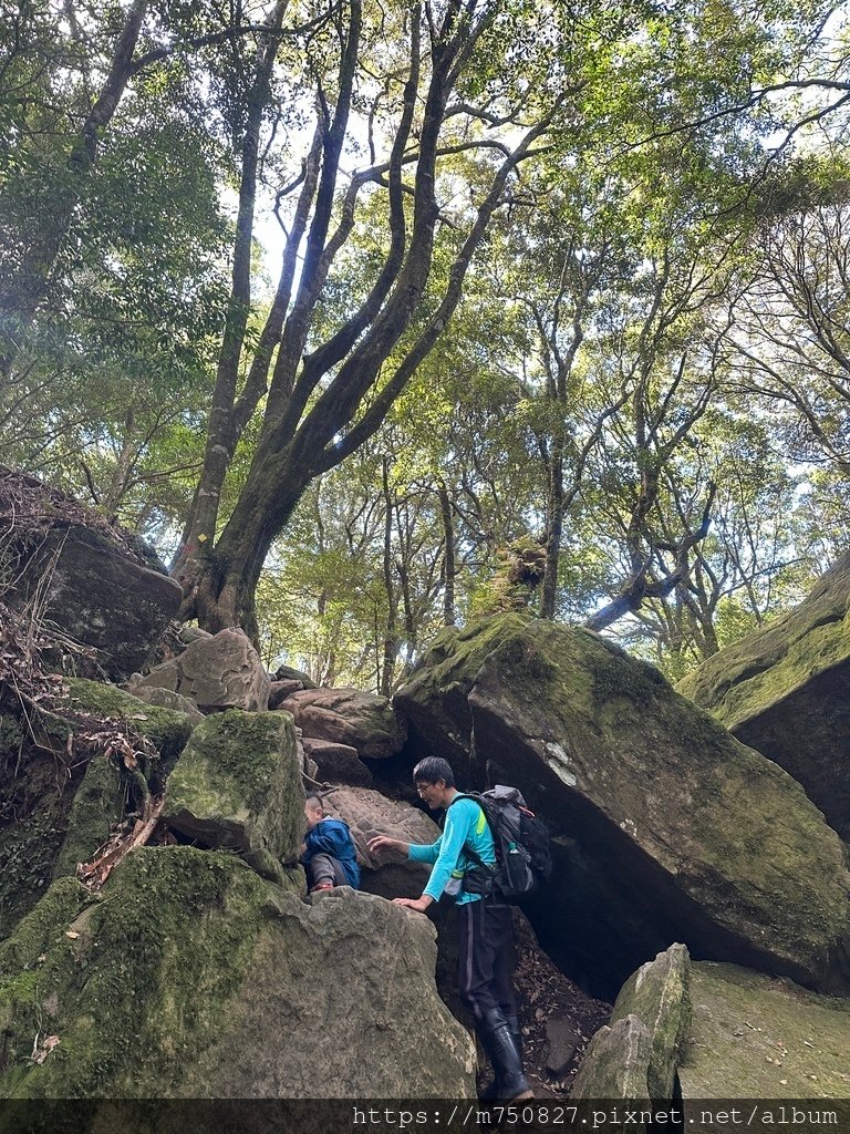 【親子登山】2023-12-09鹿場上加里山