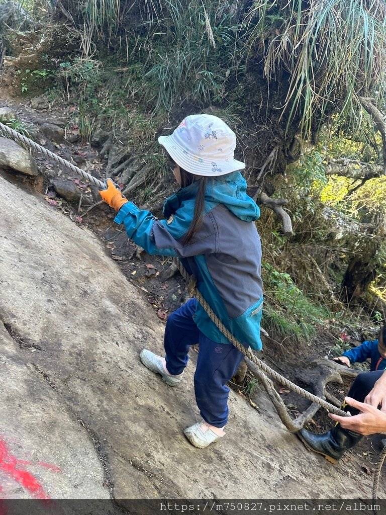 【親子登山】2023-12-09鹿場上加里山