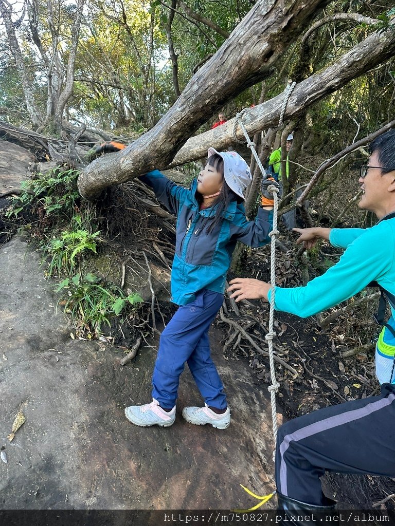 【親子登山】2023-12-09鹿場上加里山