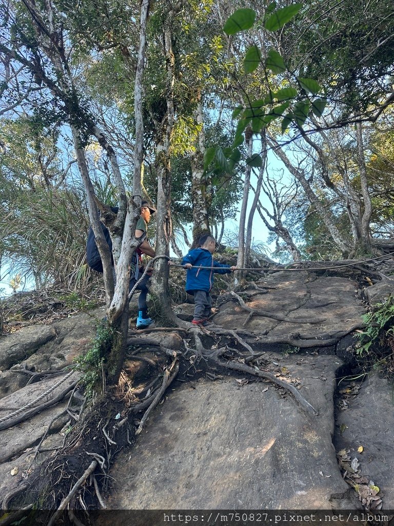 【親子登山】2023-12-09鹿場上加里山