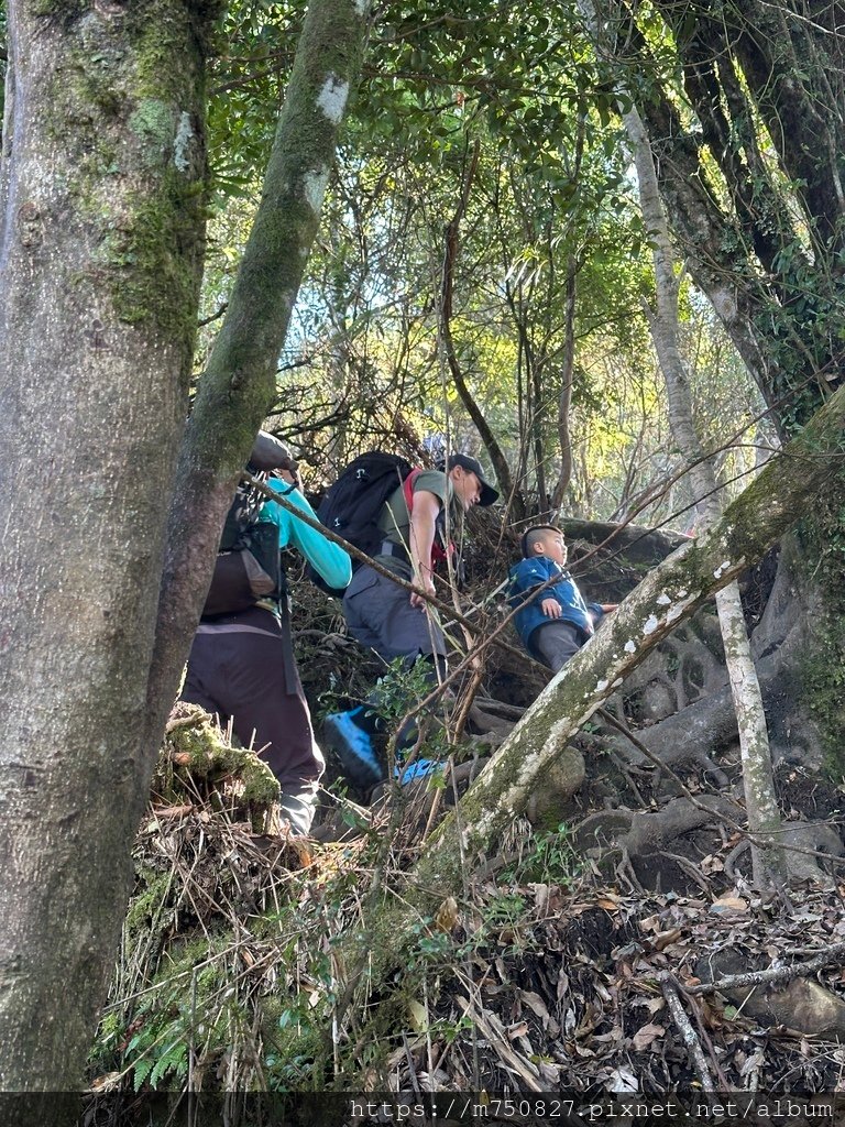 【親子登山】2023-12-09鹿場上加里山