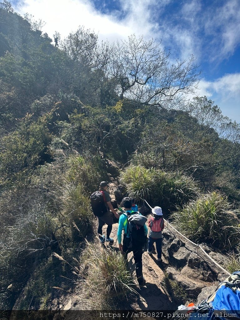 【親子登山】2023-12-09鹿場上加里山