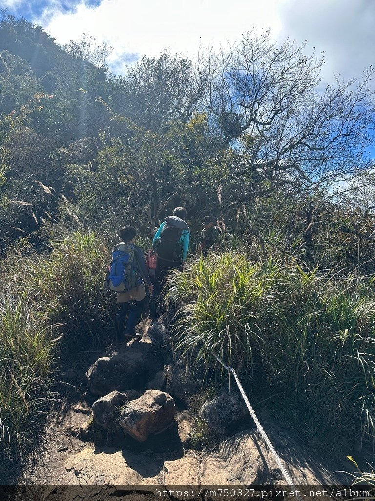 【親子登山】2023-12-09鹿場上加里山