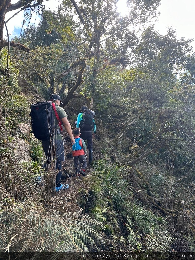 【親子登山】2023-12-09鹿場上加里山