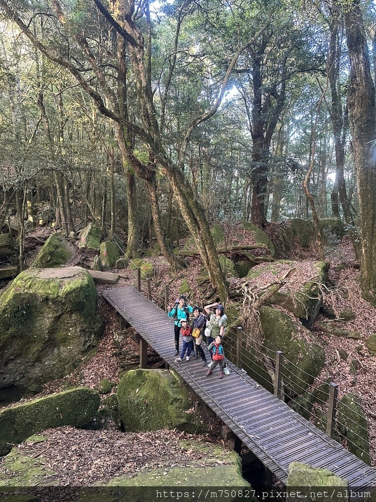 【親子登山】2023-12-09鹿場上加里山