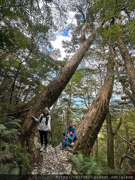 【親子登山】2023-12-29～31檜谷山莊～北大武三天兩