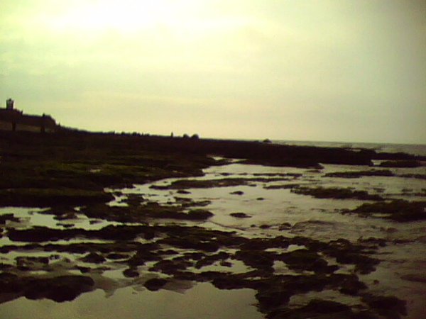 IMG0199A.jpg