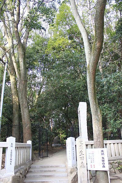 _MG_1851.JPG