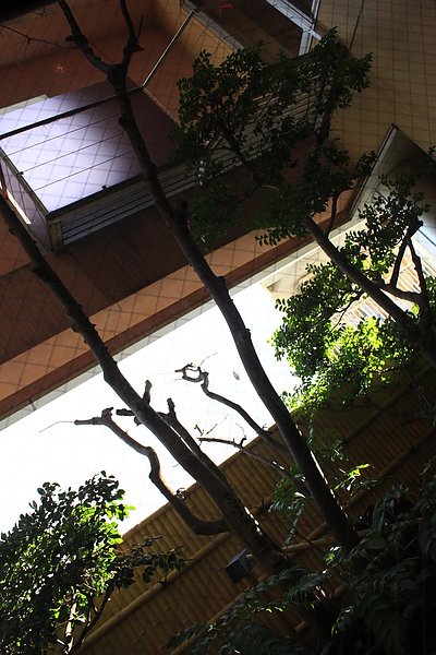 _MG_1824.JPG