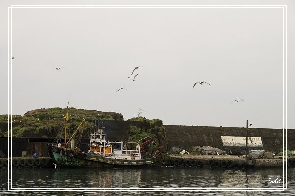 _MG_3731.jpg