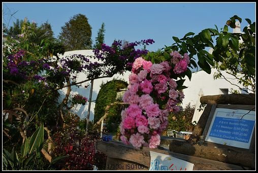 DSC_0163_nEO_IMG.jpg