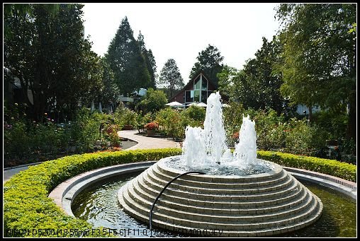 DSC_0386_nEO_IMG.jpg