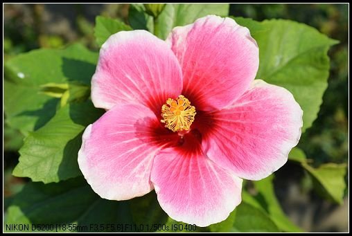 DSC_0391_nEO_IMG.jpg