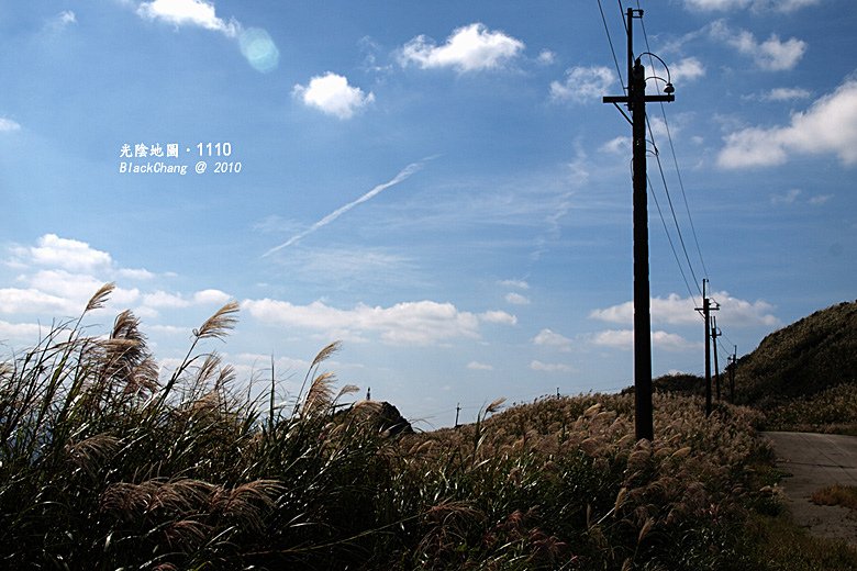 11月10日