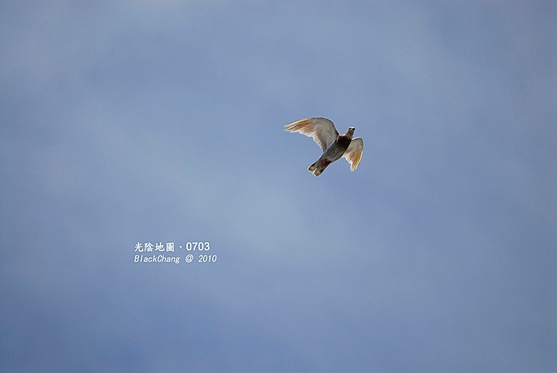 07月03日