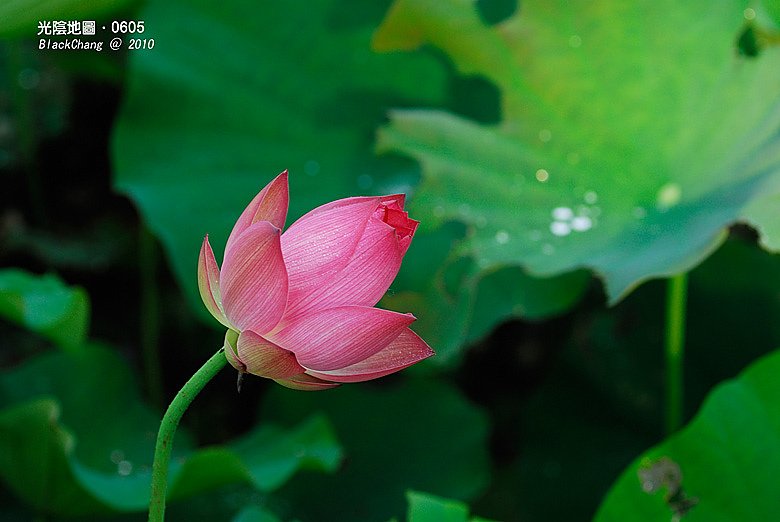 06月05日
