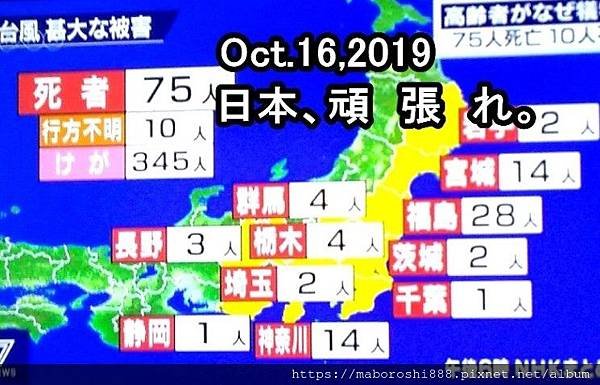 日本19号台風被害-何協澤-Eugeneho-何協澤.jpg