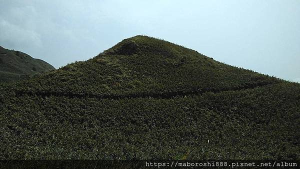 台北七星山山頂 009-何協澤-EugeneHo-何協澤-まぼろし.jpg