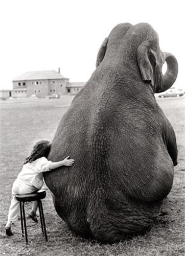 freinds,b,w,animal,love,bw,child,elephant-335a205169b5abb2113148947c4ccc37_h.jpg