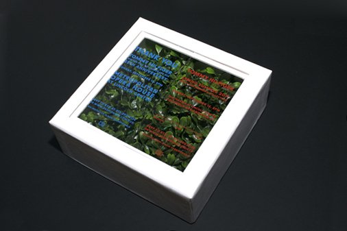 tommy-invite-1.jpg