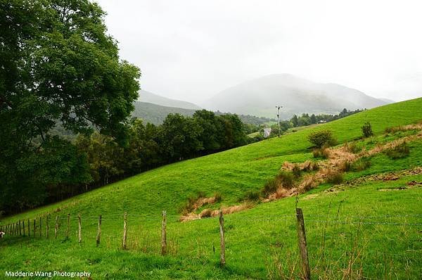 前往Castlerigg stone circle的路上風景