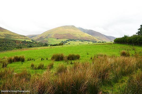 前往Castlerigg stone circle的路上風景