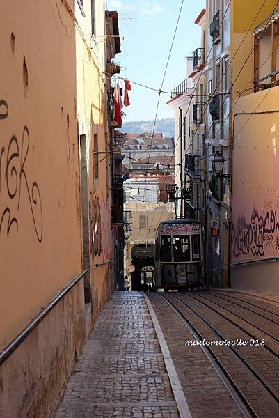 DSCF3748.JPG