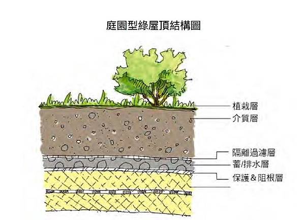 庭院,綠屋頂,植栽,樹,示意圖,分解圖,綠建築,綠化