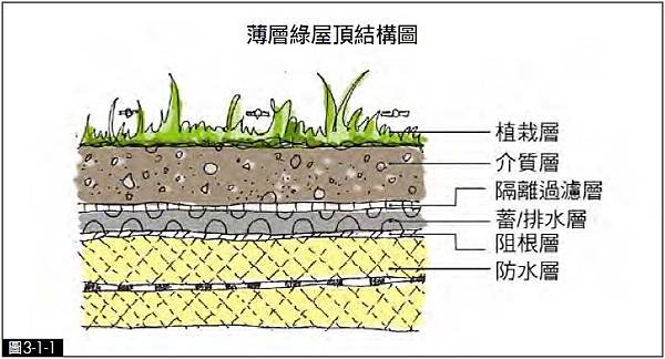 屋頂綠化,綠建築,薄層式,綠屋頂,結構圖,建築,內政部,植栽,示意圖