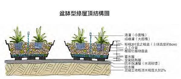 盆缽式,綠屋頂,盆栽,示意圖,綠建築,結構圖,植栽,植物,綠化