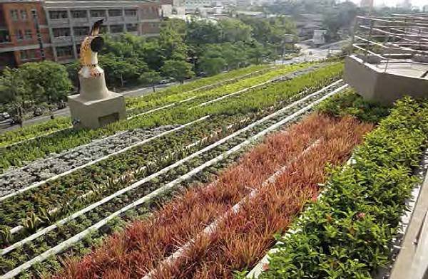 綠屋頂,綠化,綠建築,盆缽式,盆栽,植物