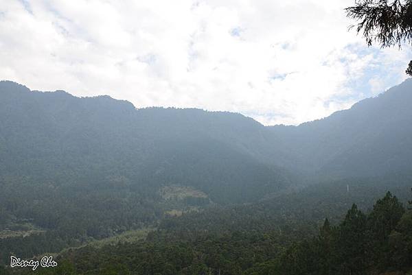 PhotoCap_043.jpg