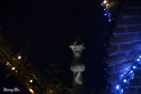 PhotoCap_039.jpg