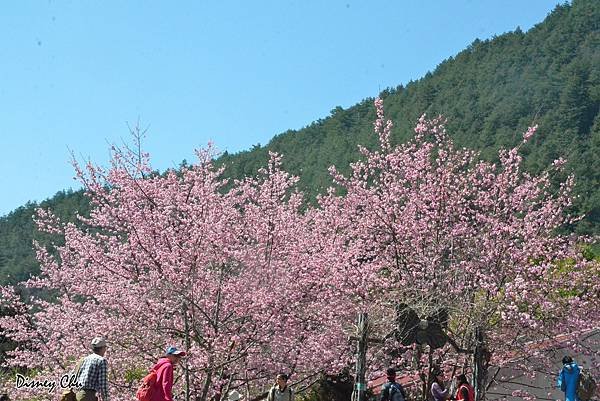 PhotoCap_048.jpg