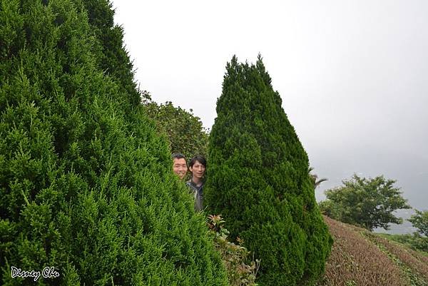 PhotoCap_043.jpg