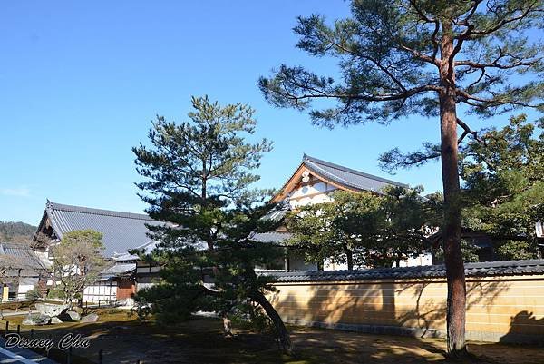 PhotoCap_007.jpg