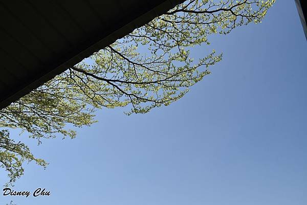 PhotoCap_094.jpg