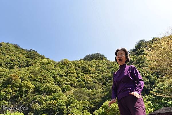 PhotoCap_446.jpg