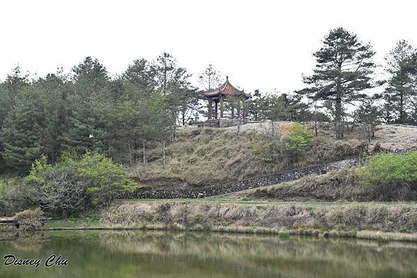PhotoCap_043.jpg
