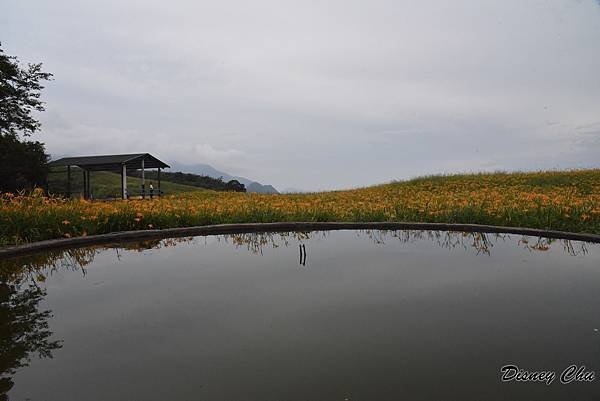 PhotoCap_056.jpg