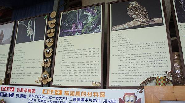 DSC04366