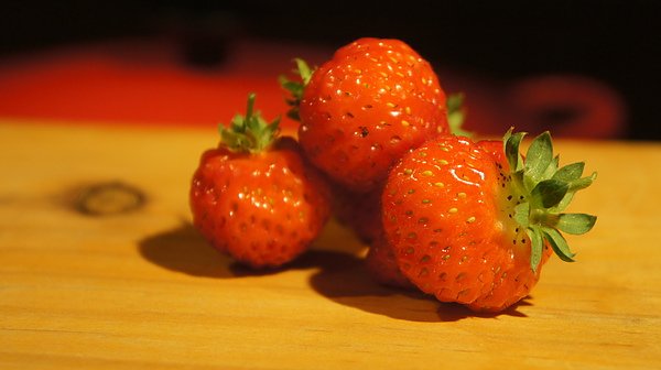 DSC09427.JPG