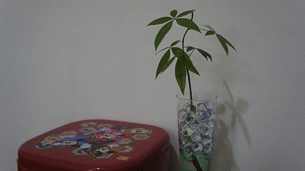 DSC01300.JPG