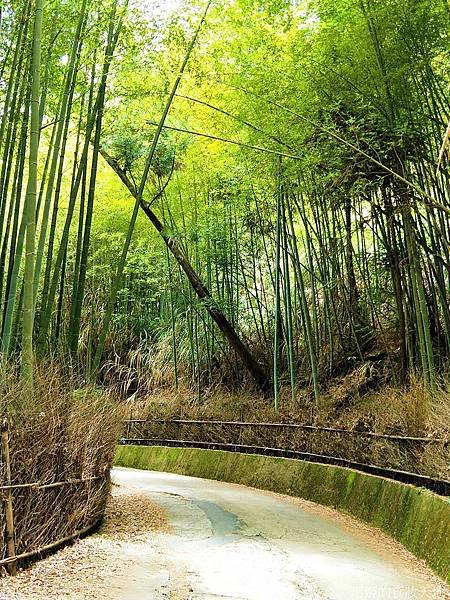雲嶺之丘五元二角26.jpg