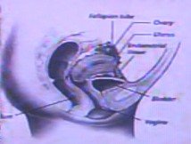 496065fc032f0.jpg