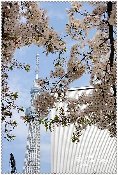 SKYTREE-6.jpg